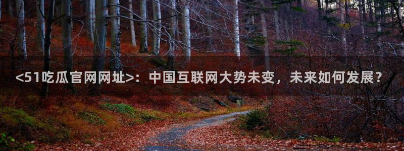 吃瓜www:<51吃瓜官网网址>:中国互联网大势未变,未来如何发展?