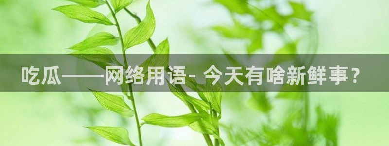 高血糖可以吃贝贝瓜吗:吃瓜——网络用语- 今天有啥新鲜事?