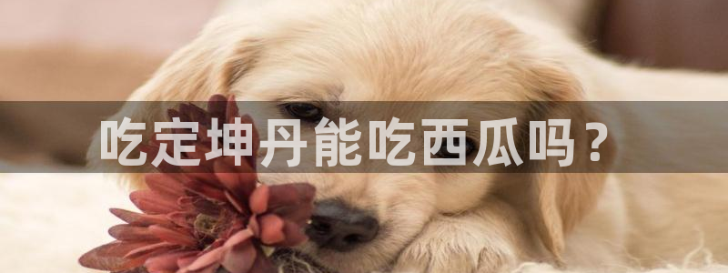 ccgg.mob今日吃瓜:吃定坤丹能吃西瓜吗?