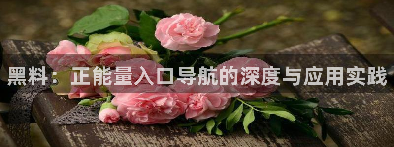 taipeinana51吃瓜:黑料:正能量入口导航的深度与应用实践