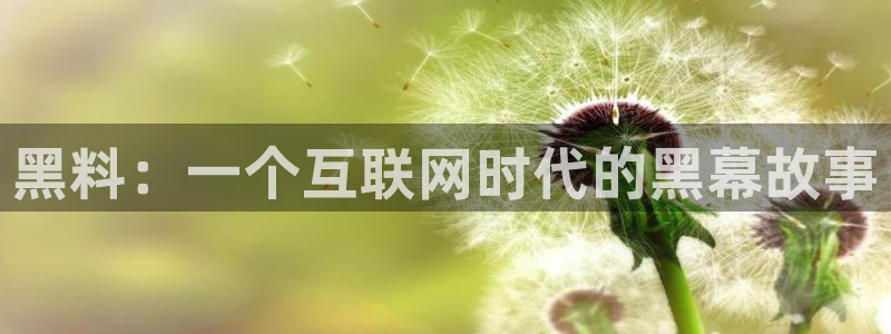 51吃瓜热门吃瓜:黑料:一个互联网时代的黑幕故事