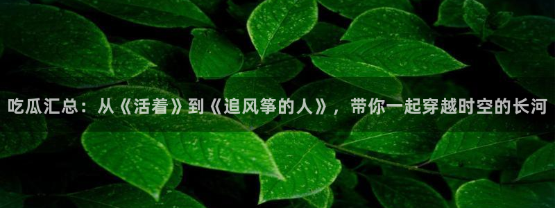 51cg今日吃瓜热门:吃瓜汇总:从《活着》到《追风筝的人》,带你一起穿越时空的长河