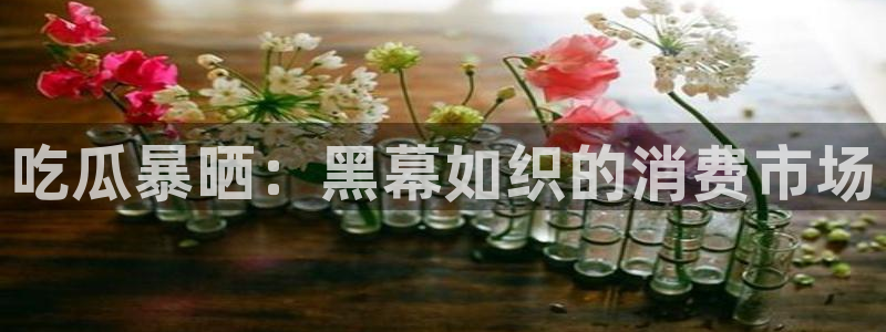 吃瓜小说:吃瓜暴晒:黑幕如织的消费市场